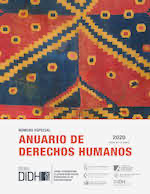 											View 2020: Anuario de Derechos Humanos - Número Aniversario
										